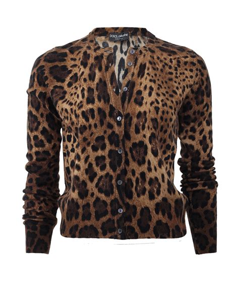 dolce gabbana leopard cardigan|Dolce & Gabbana leopard.